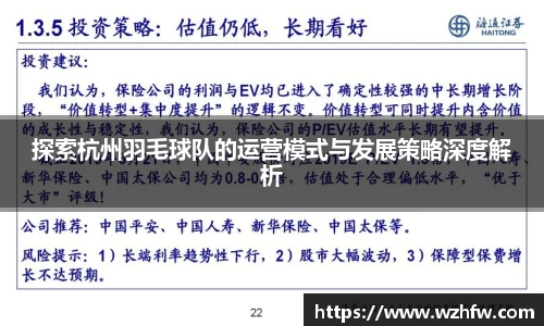探索杭州羽毛球队的运营模式与发展策略深度解析