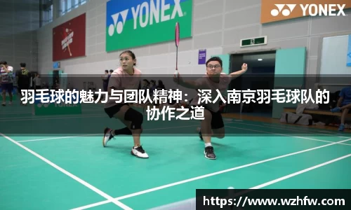 羽毛球的魅力与团队精神：深入南京羽毛球队的协作之道